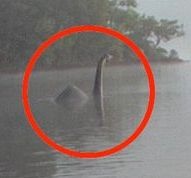 Sinh vat giong khung long xuat hien o chau Au hinh anh