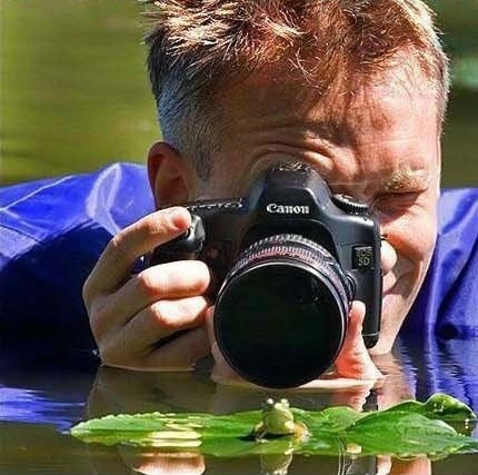 Khoảng cách săn ảnh không thể gần hơn. 