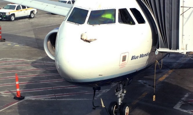 May bay cho 147 nguoi ha canh khan vi chim hinh anh