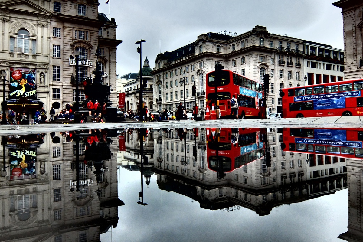 Tác phẩm của Steve Cooke đến từ New Zealand.