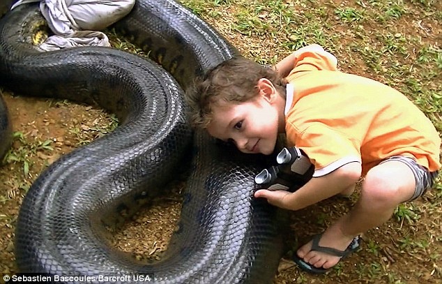 Giao vien toan bat tran khong lo bang tay khong hinh anh