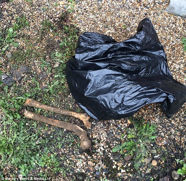 Phat hien hai bo xuong nguoi khong dau hinh anh