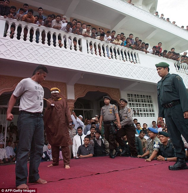 Con bac dau don chiu don roi o Indonesia hinh anh