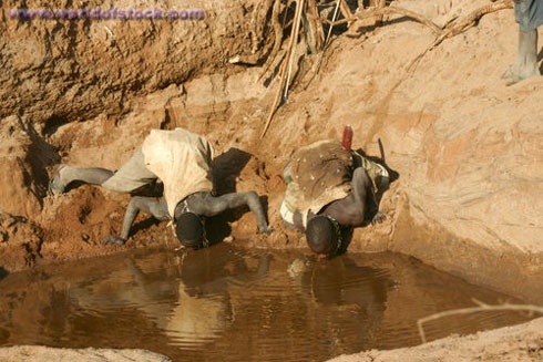 Cách uống nước của người Hadza. Chính phủ Tanzanie đã cố gắng tìm cách bảo tồn bộ lạc này trước nguy cơ tuyệt chủng bằng cách truyền bá cuộc sống văn minh. Tuy nhiên, mọi nỗ lực đều không thành công. Họ không sử dụng nhà xây do chính phủ cấp mà chỉ ở lều cỏ. Bếp ga, bếp than họ không dùng, cũng chẳng dùng cách đánh lửa của thế giới hiện đại, mà cứ dành cả buổi để lấy lửa từ đá.