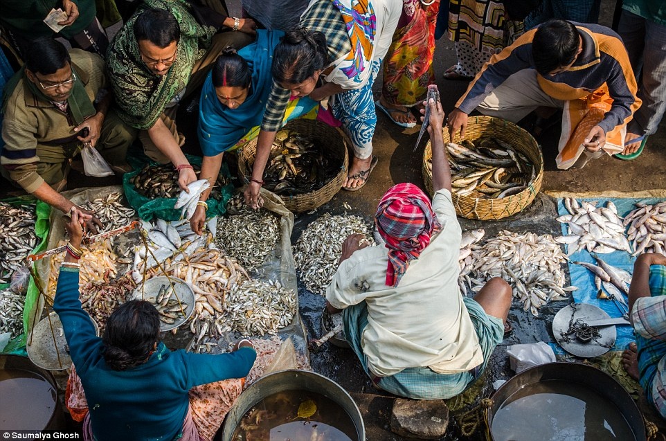 Ảnh chụp chợ cá lúc 10 giờ sáng tại Ấn Độ của nhiếp ảnh gia Saumalya Ghosh.