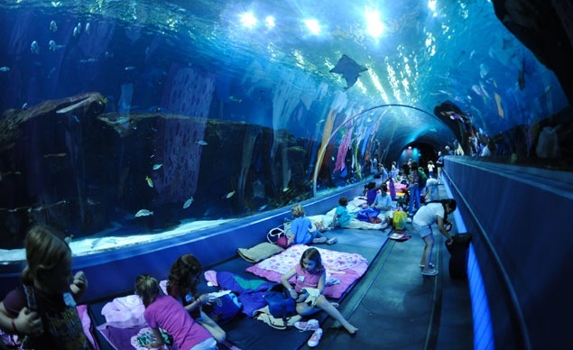 Qua dem o nhung chon doc dao nhat hanh tinh hinh anh