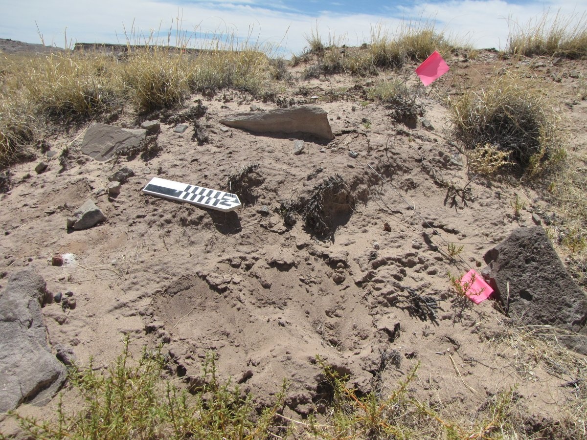 Phat hien lang co hon 1.000 nam o My hinh anh