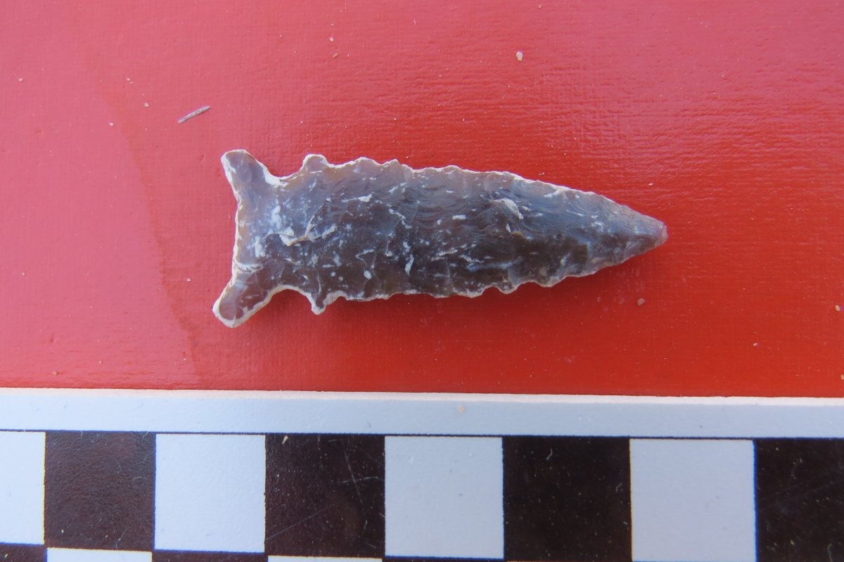 Một mũi tên với các cạnh răng cưa. Ảnh: Reuters