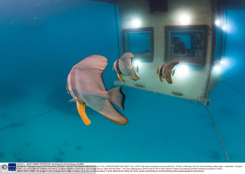 Tọa lạc trên hòn đảo xinh đẹp Pemba, thuộc quần đảo Zanzibar, Manta resort  tạo cơ hội cho du khách trải nhiệm cảm giác thú vị khi ngủ giữa bầy cá dưới lòng đại dương. 