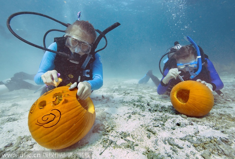 Hai thợ lặn sáng tạo những chiếc đèn lồng trong một cuộc thi điêu khắc bí ngô dưới nước tại khu bảo tồn biển quốc gia Florida Keys ngày 19/10/2013. 