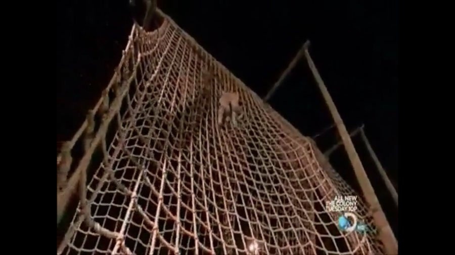 Học viên phải vượt qua hàng rào lưới trong điều kiện thời tiết giá lạnh và đôi tay của họ đã dần tê cứng.  