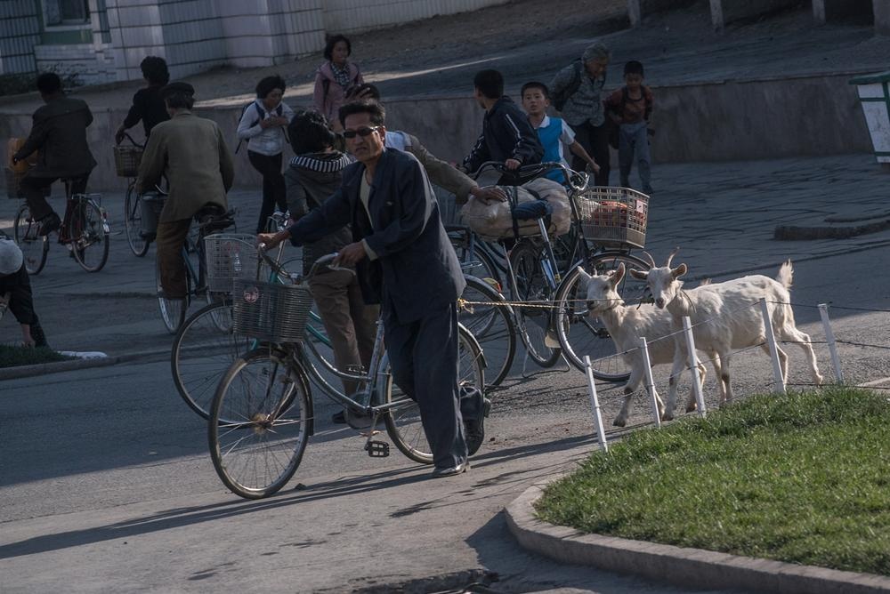 Xe đạp và xe buýt vẫn là phương tiện giao thông phổ biến nhất tại Bình Nhưỡng.