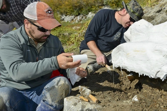 Để bảo vệ các hóa thạch, họ đã triển khai các máy xúc tới hiện trường để di chuyển chúng tới Bảo tàng Lịch sử Tự nhiên tại thành phố Pocatello ngày 18/10.