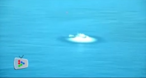 Hải quân Malaysia sau đó ra thông báo cho biết tàu ngầm Tun Abdul Razak phóng đi một ngư lôi Black Shark (do Italia chế tạo) bắn trúng chiếc phà cũ lúc 11h13 ngày 31/10, tạo nên tiếng nổ lớn.