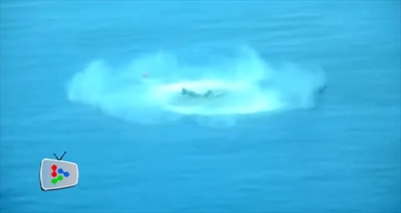 Black Shark là ngư lôi hạng nặng dùng để tấn công các khu trục hạm cỡ lớn và tàu sân bay.