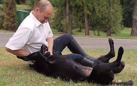Putin cũng là một người yêu động vật..