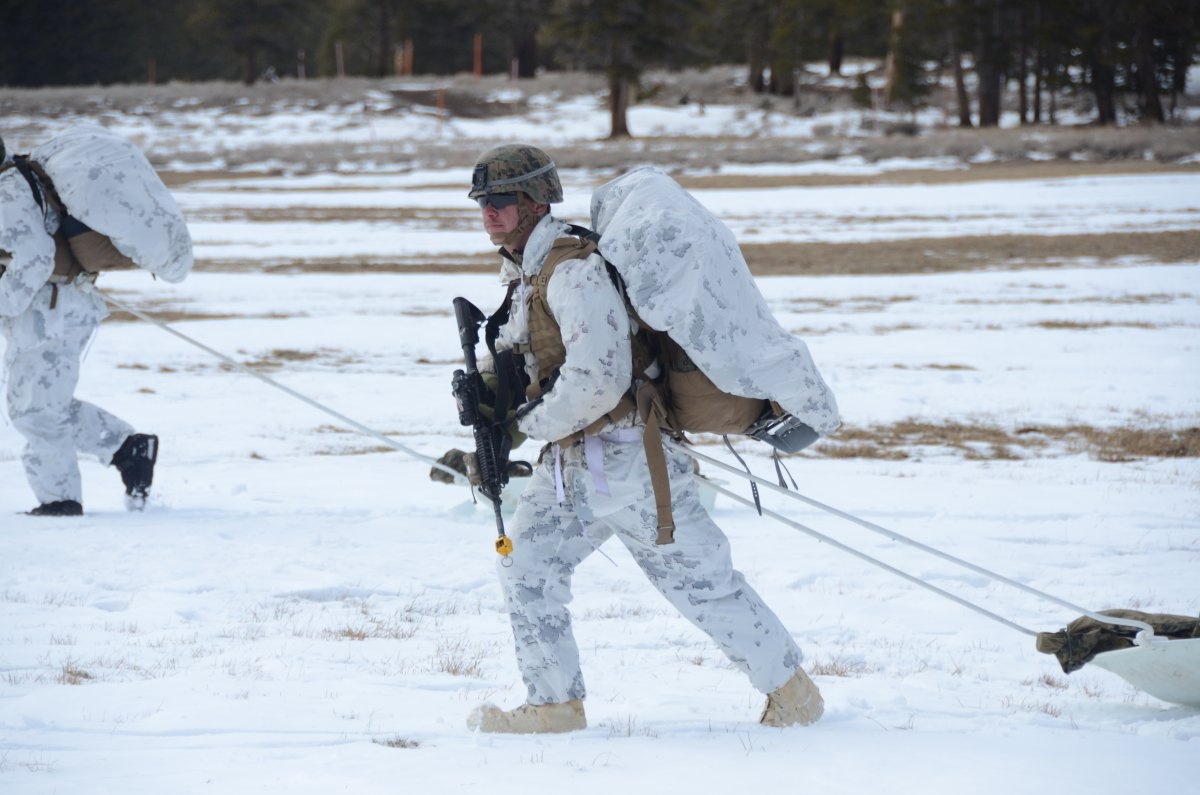 …hay kéo các vật nặng bằng xe trượt tuyết.