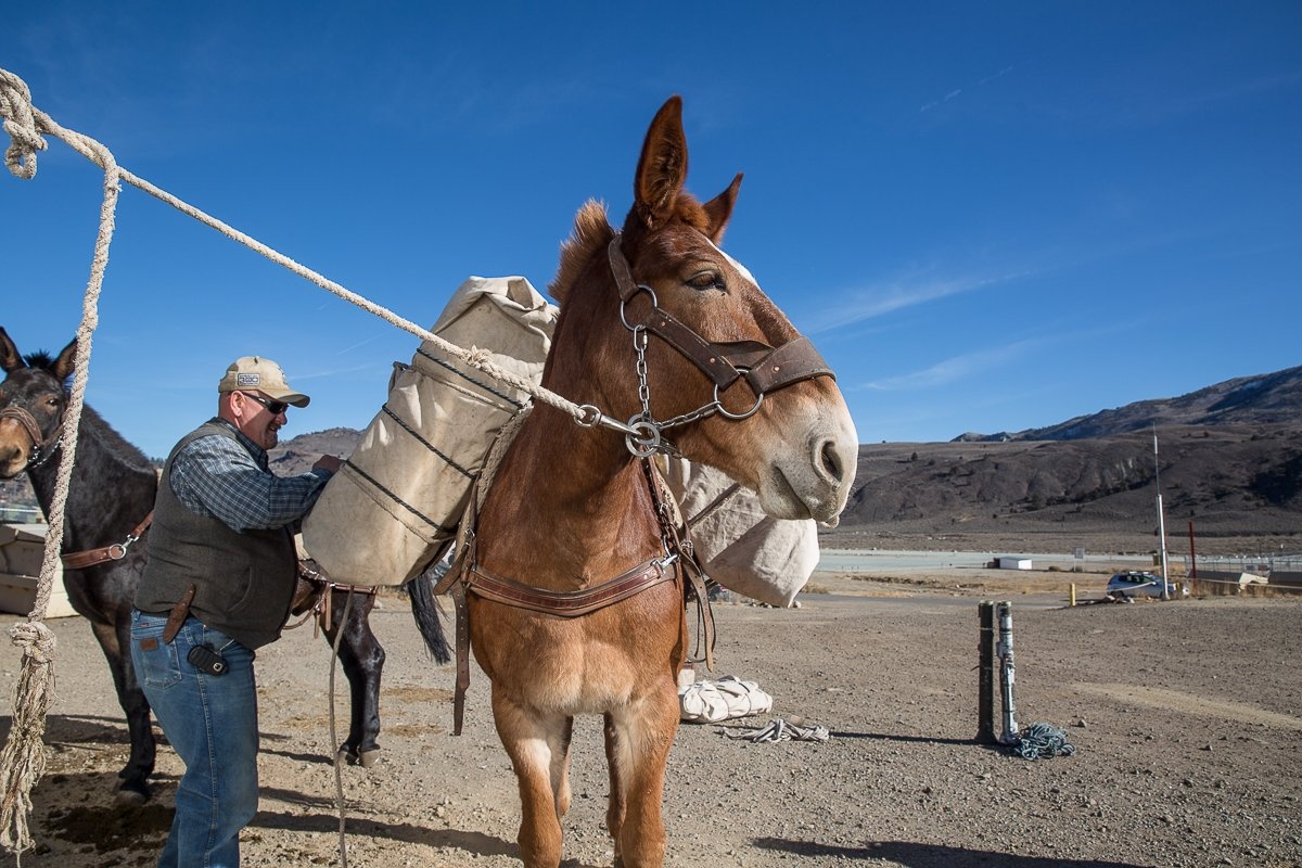 MWTC là đơn vị duy nhất thuộc Bộ Quốc phòng Mỹ áp dụng môn cưỡi ngựa vào mô hình đào tạo. 
