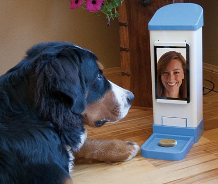 Nu sinh 14 tuoi phat minh webcam cho cho hinh anh