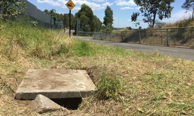 Ảnh: theguardian.com