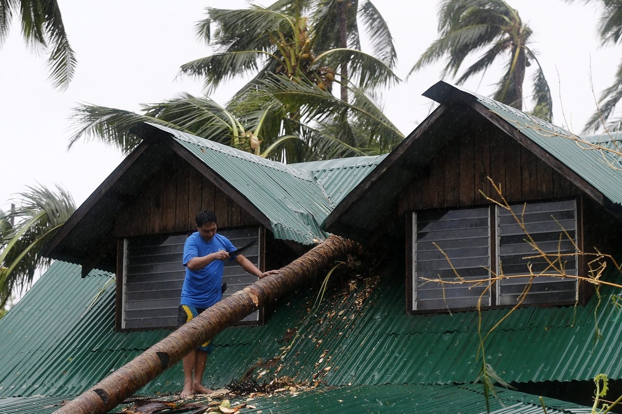 Người đàn ông này đang tìm cách dỡ cây dừa rơi đổ xuống mái nhà của ông ở thành phố Borongan trên đảo Samar ngày 7/12. PAGASA cho biết bão đi về hướng tây - tây bắc với sức gió 15 km/giờ, sức gió 140 km/giờ, gió giật 170km/giờ. Ảnh: EPA