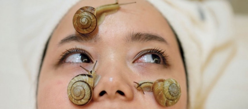 Một salon tại Nhật Bản đang mở rộng phương pháp chăm sóc da kỳ lạ bằng cách cho ốc sên sống bò lên mặt. Khi con vật di chuyển, chất nhờn của chúng chứa protein, chất chống oxy hóa và axit hyaluronic sẽ đọng lại trên da mặt của khách hàng. Đó đều là những “thực phẩm” tốt cho da với khả năng loại bỏ các tế bào cũ, giữ ẩm và tái tạo làn da tươi trẻ