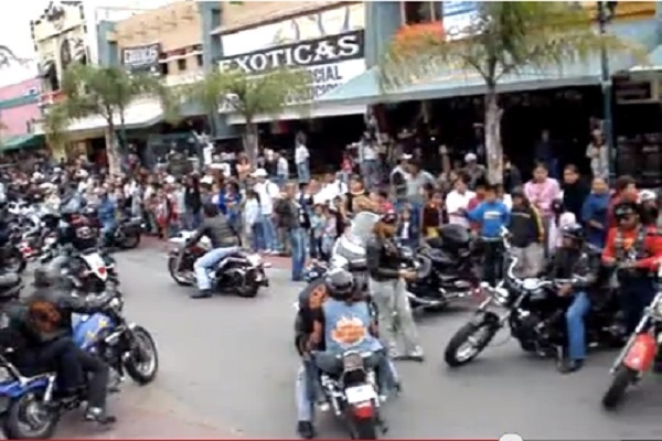 Băng nhóm chuyên cưỡi mô tô phân khối lớn Solo Angles hình thành từ năm 1960 tại Tijuana, thành phố biên giới của Mexico giáp Mỹ. Hoạt động của băng quái xế này gồm buôn người, tống tiến, mại dâm và ma túy. Các thành viên của băng nhóm mô tô này có môi liên hệ mật thiết với một số tổ chức tội phạm đáng sợ tại Mexico như MC-13 và Hells Angles. uy nhiên, Solo Angles không hoàn toàn mang tiếng xấu, bởi chúng cũng tham gia các hoạt động từ thiện một lần trong năm.