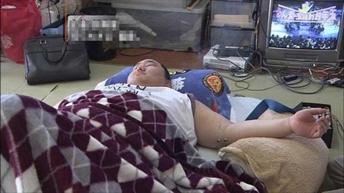 Thông thường, các sumo sẽ đi ngủ sau khi ăn no để vỗ béo.