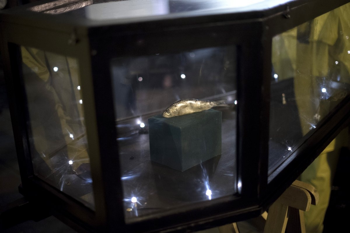 Đám tang của một chú cá sardine diễn ra tại thành phố cảng Basque, Tây Ban Nha, vào ngày 5/3/2014. Ảnh: Reuters