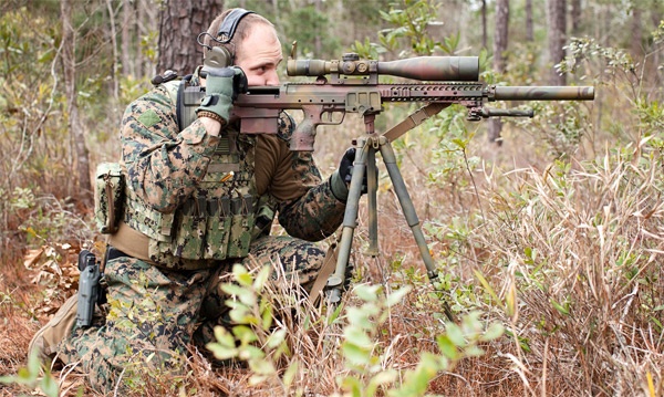 Ảnh: dtacomlink.com