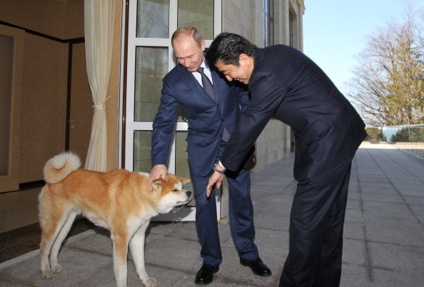 Tổng thống Putin và chú chó Yume mà ông nuôi cùng đón tiếp Thủ tướng Shinzo Abe tại một tòa nhà công vụ ở bang Bocharov Ruchey vào ngày 8/2. Nhà lãnh đạo Nhật Bản đến Nga vào thời gian này để tham dự lễ khai mạc Thế vận hội mùa đông. Ảnh: AFP