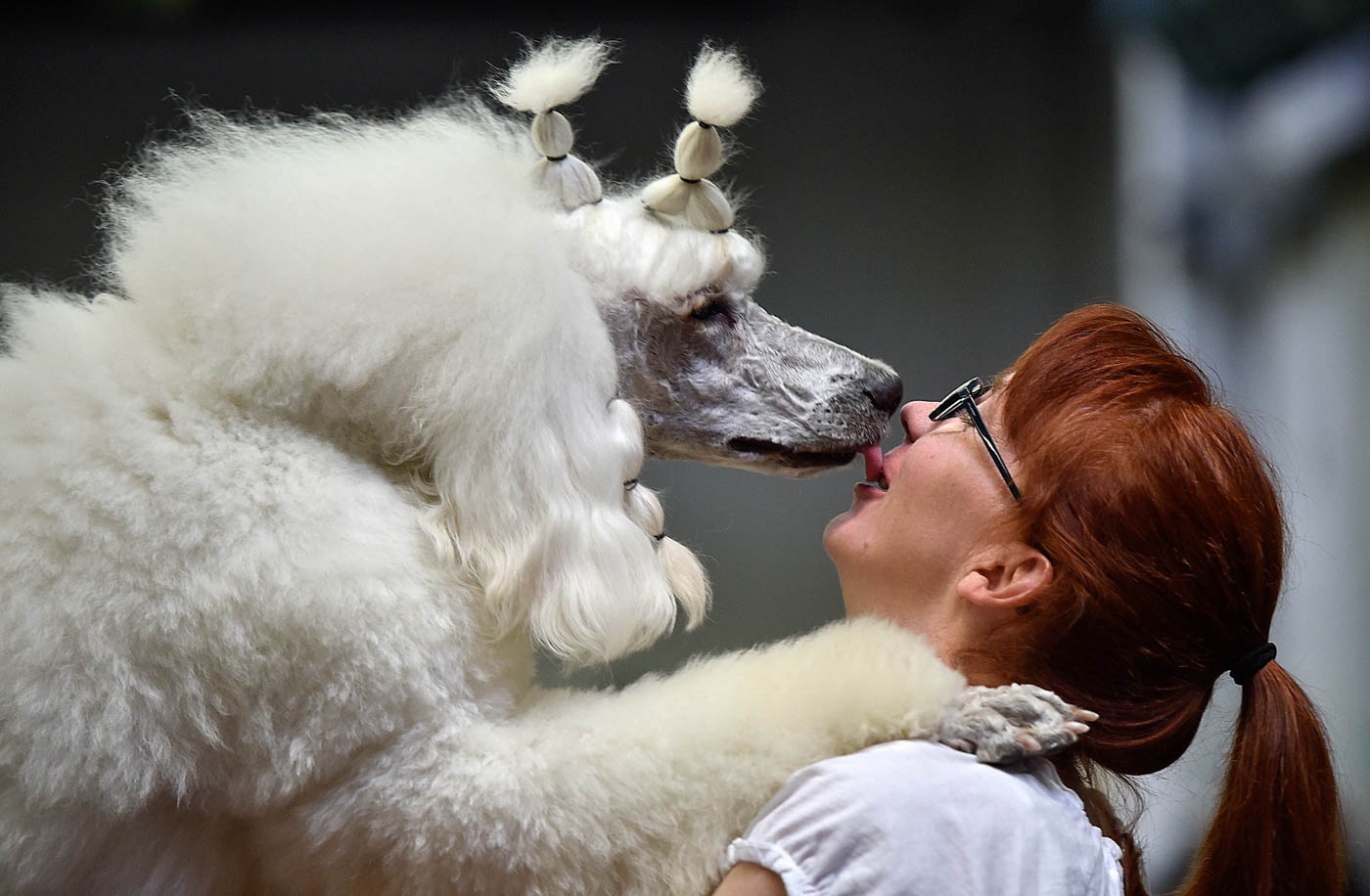 Cô Anja Trinks hôn chú chó của mình trong một sự kiện dành cho thú cưng ở Dormunt, Đức vào ngày 9/5. Ảnh: AP