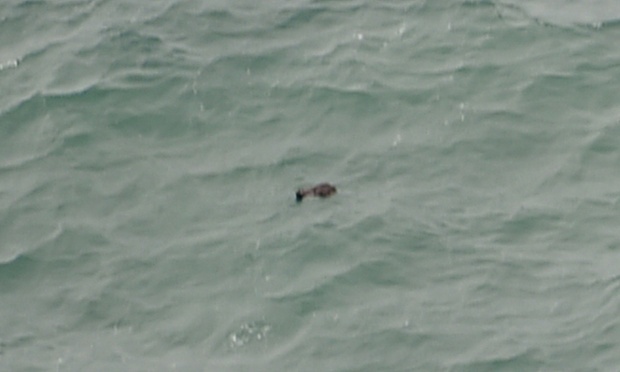 Mảnh vỡ trôi nổi trên biển Java do một máy bay trong đội tìm kiếm của Indonesia phát hiện vào trưa ngày 30/12. Ảnh do một phóng viên AFP có mặt trên máy bay chụp. Ảnh: AFP