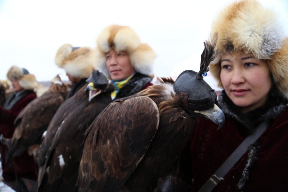 Hiện cả nước Kazakhstan chỉ có khoảng 50 thợ săn cùng đại bàng, một số ít người vẫn duy trì cuộc sống bằng việc đi săn.