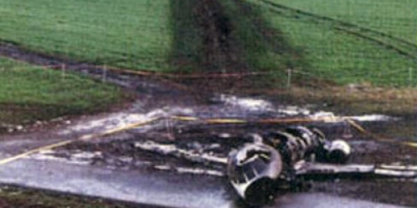 Ngày 20/1/1995, khi một chiếc Dassault Falcon 20 rơi tại sân bay ở thủ đô Paris, Pháp, lúc cố gắng hạ cánh khẩn cấp. Nguyên nhân sự cố do một đàn chim te te đã bay vào động cơ máy bay gây hư hại động cơ và tạo ra một đám cháy ở thân máy bay. Tất cả 10 người trên phi cơ đều thiệt mạng sau vụ tai nạn. Ảnh minh họa: Flight Global