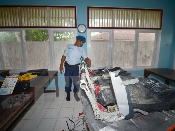 Indonesia sa thai hai quan chuc cap bo sau vu QZ8501 hinh anh