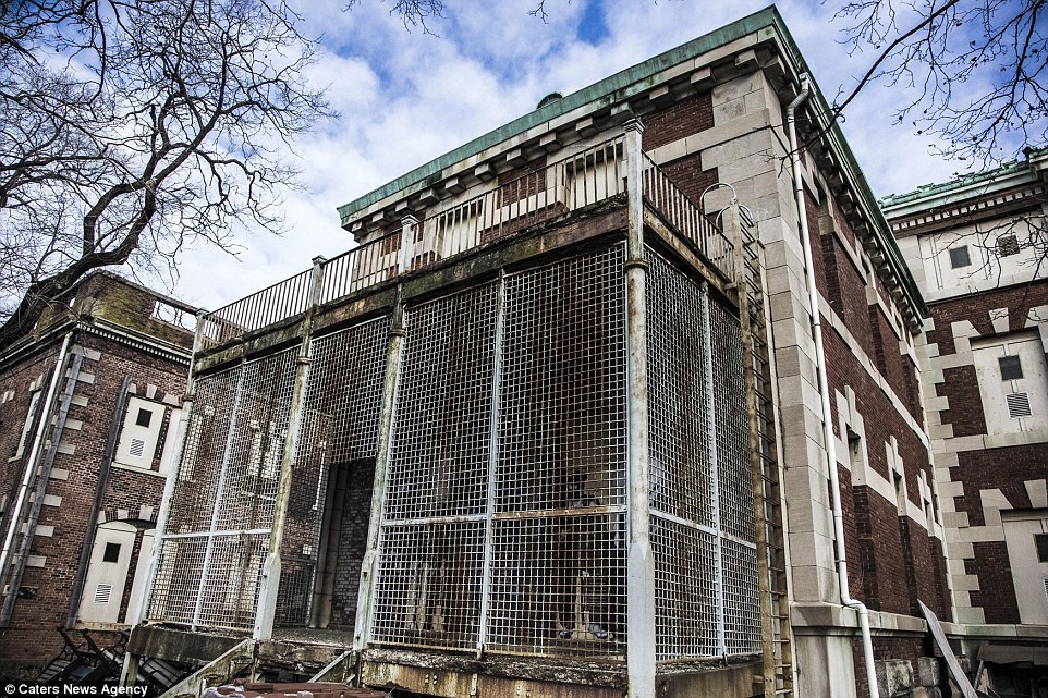 Một cái lồng có kích thước lớn dành cho những bệnh nhân tâm thần. 