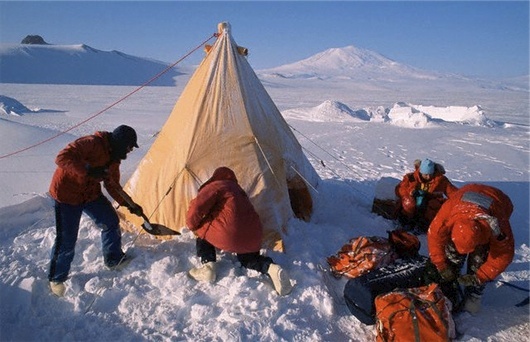 Cuoc song khac nghiet nhung thu vi tai Nam Cuc hinh anh