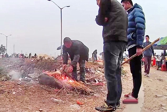 Canh dim chet, lot da cho meo tai Trung Quoc hinh anh