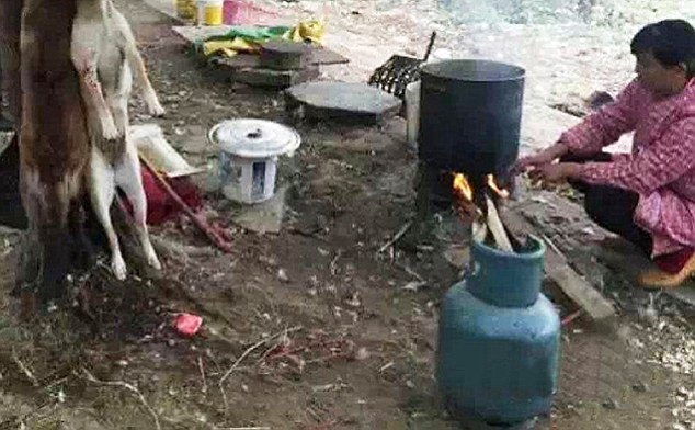 Trong khi đó, một người phụ nữ chuẩn bị nồi nước để luộc hai con chó treo trên cây.