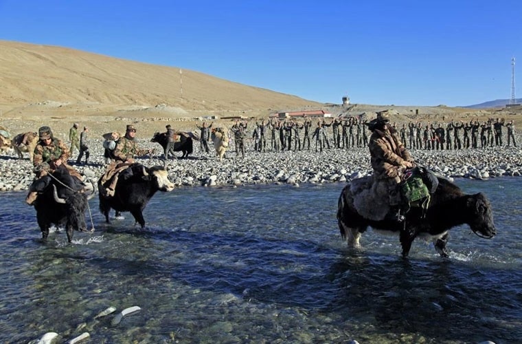 Bò Tây Tạng do thích nghi tốt với độ cao lớn cho nên được người dân cũng nhưng quân đội Trung Quốc sử dụng để vận chuyển hàng hóa đi khắp các đèo núi.