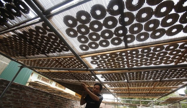 Một người đàn ông đem những vòng hương đem phơi khô. Khoảnh khắc cúng tổ tiên trong đêm giao thừa là thời điểm các gia đình luôn quây quần đông đủ, mỗi người thắp nén hương để tưởng nhớ tổ tiên.