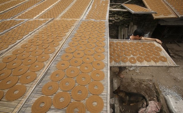 Vòng hương được đặt trên những ván tre để phơi khô tại làng Hong Chau. Người Việt có nhiều dịp để thờ cúng tổ tiên, như vào ngày giỗ, ngày rằm... Nhưng không khí dọn dẹp, chuẩn bị đồ thờ cúng chỉ diễn ratất bật vào những ngày giáp Tết. Các chủ nhà thay bát hương cắm nhang, đánh bóng bộ lư đồng, lau chùi bàn thờ hoặc khung ảnh ông, bà...