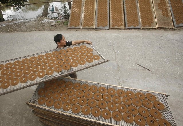 Một người đàn ông xếp các ván tre đặt vòng hương để phơi khô. Phong tục thắp sáng bàn thờ ngày Tết để thờ cúng tổ tiên bắt đầu từ ngày 30 âm lịch.