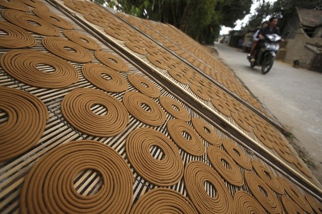 Những ván tre đặt vòng nhang phơi khô để chuẩn bị đem bán trong những ngày giáp Tết.