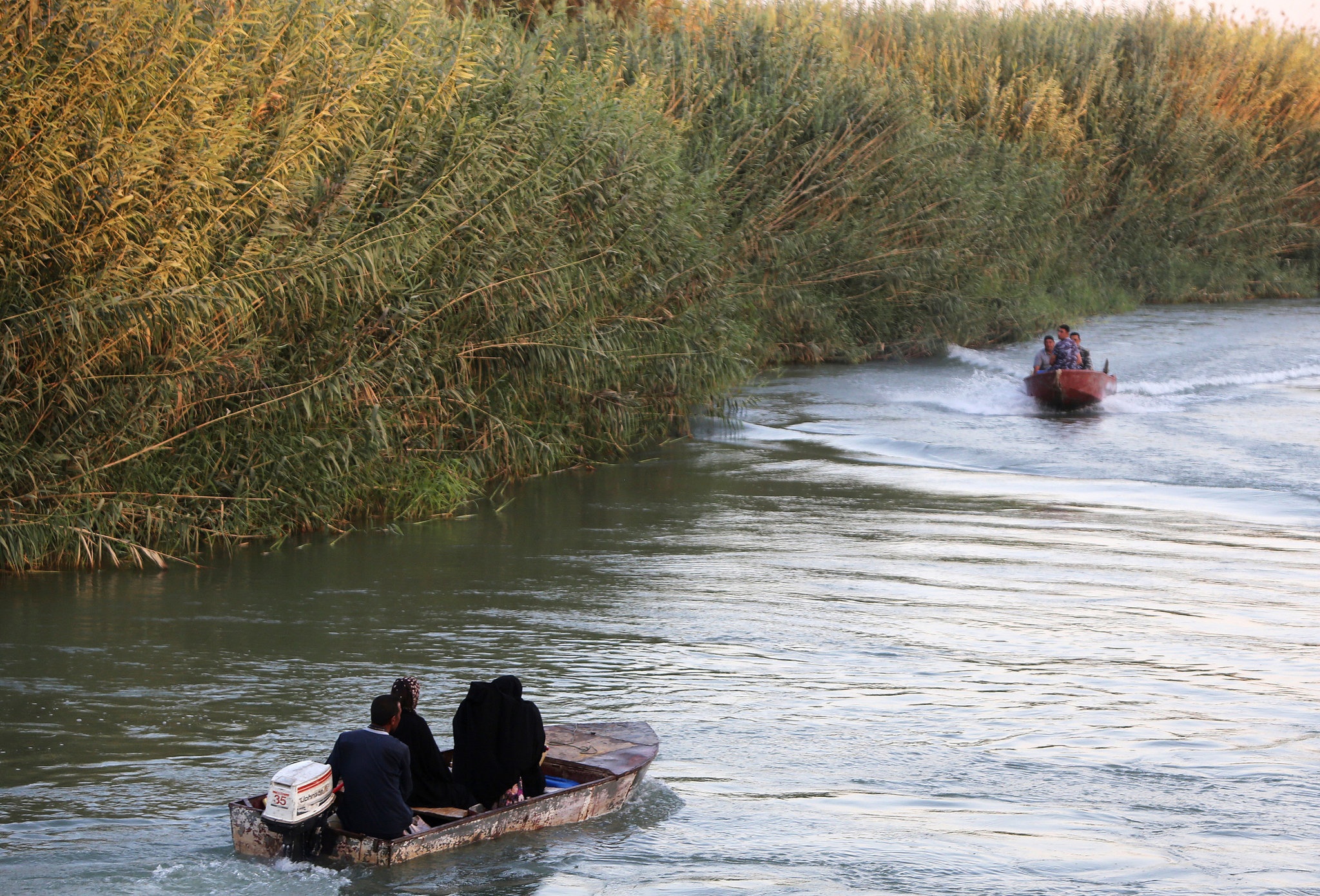 Chuyen tinh giua lan dan cua IS hinh anh