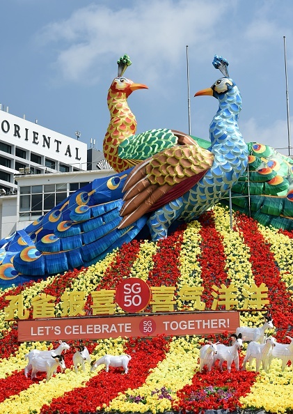 Tạo hình cặp phụng hoàng nổi bật ở sân vận động diễn ra lễ đón Tết âm lịch ở Singapore, bên dưới là những tiểu cảnh chú dê đang gặm cỏ. Năm 2015 cũng đánh dấu kỷ niệm 50 năm ngày Singapore trở thành quốc gia độc lập. Ảnh: AFP