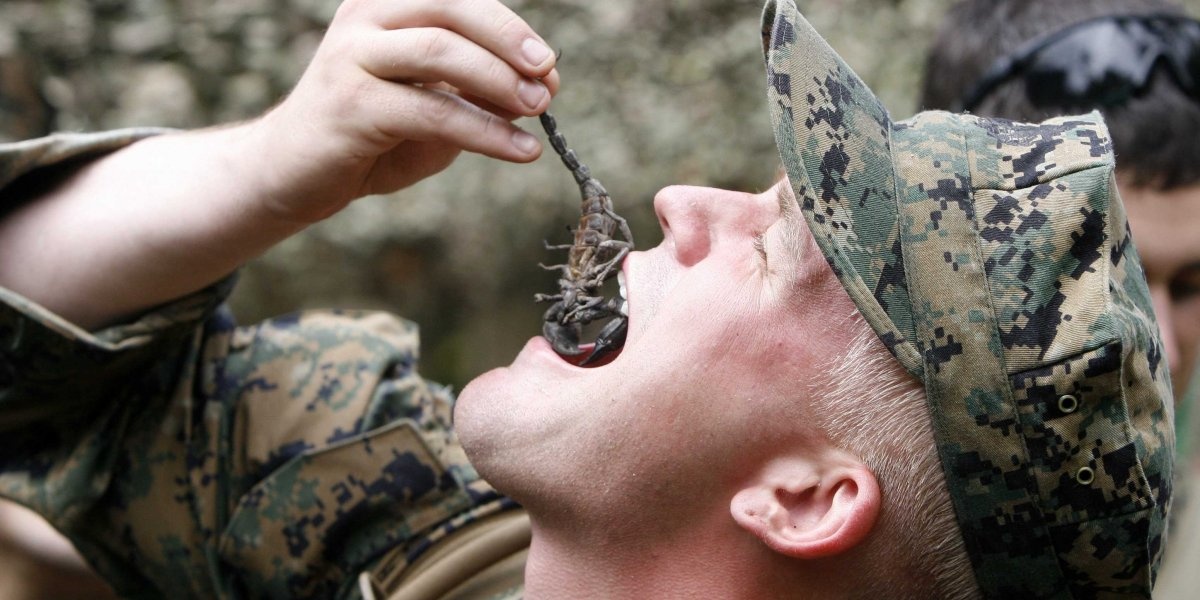 Một lính thủy đánh bộ Mỹ ăn bọ cạp khi tham gia tập trận Hổ Mang Vàng. Đây là một phần trong bài tập tìm cách sinh tồn giữa tự nhiên. Hơn 13.000 binh sĩ từ các nước tham gia cuộc tập trận lớn nhất châu Á trong năm 2015.