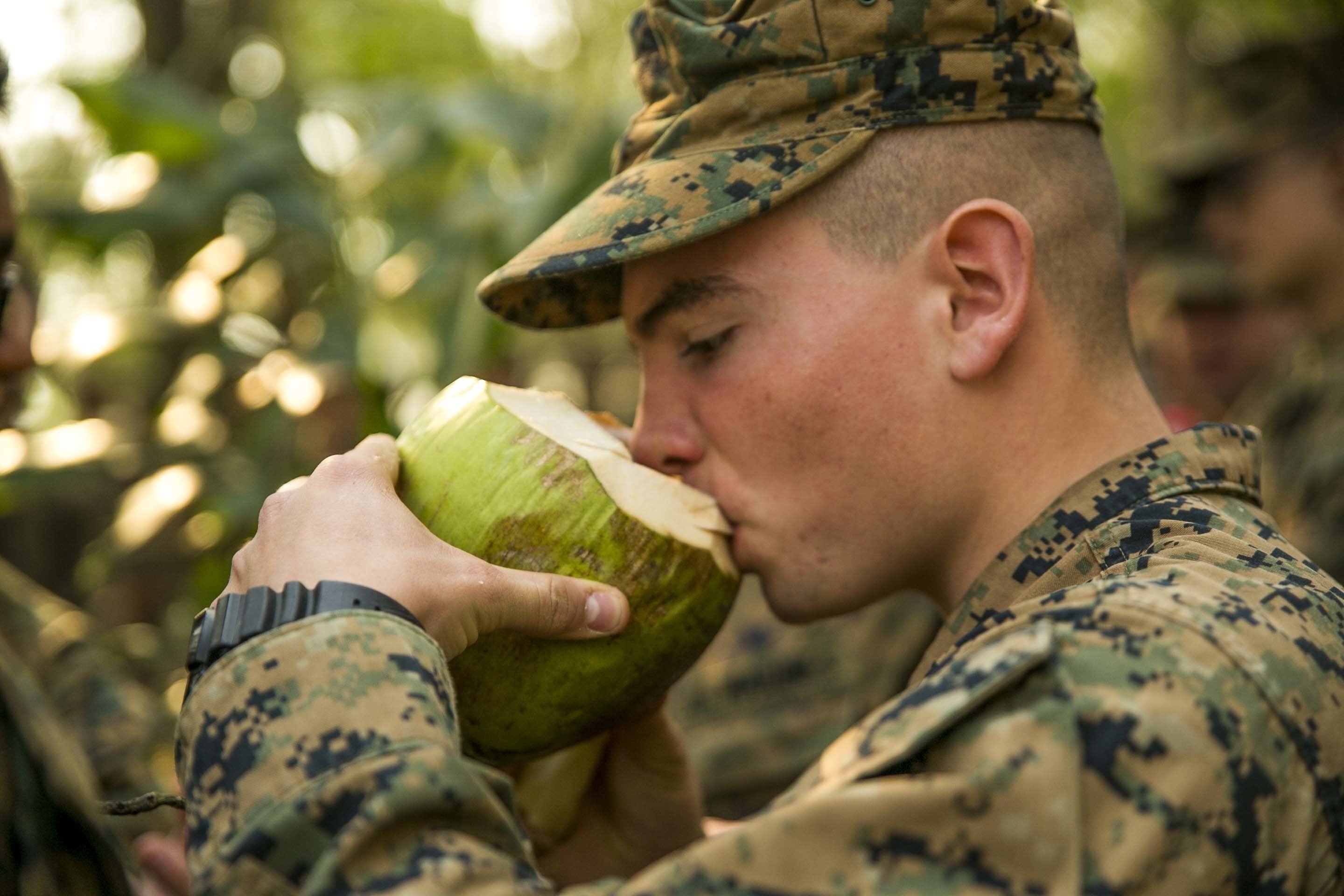 Cũng giống như máu rắn hổ mang, dừa là một trong những loại trái cây có sẵn trong tự nhiên giúp bù nước cho những người chẳng may thất lạc giữa nơi hoang dã.