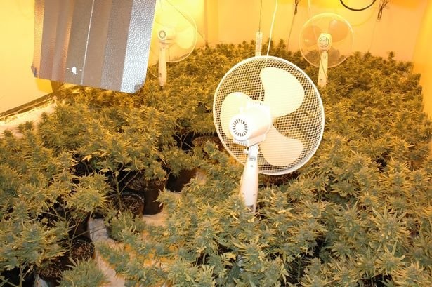 Hang nghin thieu nien Viet song nhu no le tai Anh hinh anh